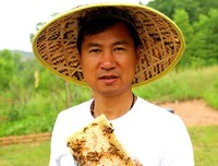说说刘海军《甜蜜的事业》-- “蜜蜂哥”的两大堪忧谁来