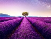 一朝一夕一瞬间，一来一去一人生