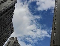《你若盛开清风自来》的句子