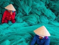 李子柒是越南人？为了钱，别丢掉底线！
