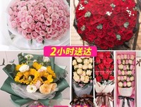 《群》的句子
