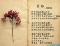 席慕蓉的句子
