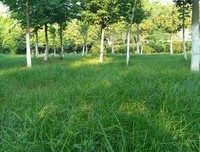 15条关于过日子的经典语句