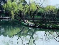 有关淋漓尽致的美句摘抄