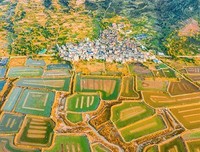 关于沧海桑田名言名句