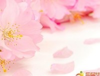 矜持的语句摘抄_关于矜持的语句