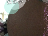 关于吾她内学妈出所爱的句子