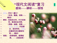关于叶子的优美句子