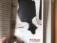 城邦暴力团（上）读后感100字