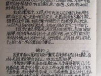《旋涡猫的找法》读后感摘抄