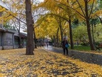 人这一生，只欠父母！（深度好文）