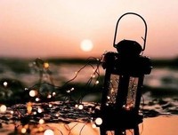 一本正经的句子