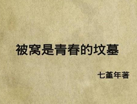 15条关于尘埃落定的经典语句