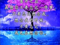 “失恋比拍拖更浪漫。”