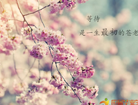 才华横溢的语句摘抄_关于才华横溢的语句