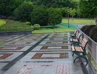 细雨闹冬夜，愁绪入梦里，再烦恼的心事，睡一觉都会忘