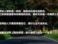 尼采的哲学思考名句欣赏