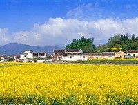 乡村脱贫题材剧走进B站，轻喜剧形式如何解读严肃主题？