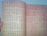 《我的抗战》读后感100字