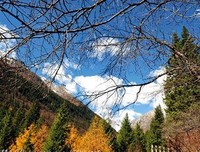 良辰美景的句子
