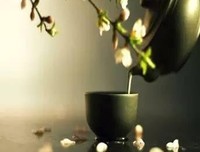留一点矜持，留一点羞涩，会让你变得更加优雅