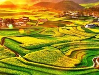 牵动心灵的小主孩龚音经典名句