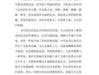 《中国进入国际大家庭》读后感锦集