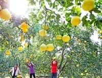 拖泥带水的名言_关于拖泥带水的名言