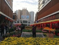 故地重游