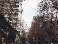 关于如此心情的句子