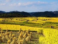 青春发事能事悔名句欣赏