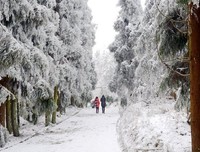 《林海雪原》读后感锦集