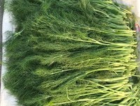 早起后坚持这3个小习惯，才能让你元气满满啦！