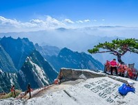 65岁张国立，已无法安享晚年，网友：苦命男人！