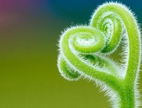 种植物的时候，要唱生日快乐歌才行