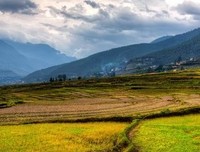 层层叠叠格言警句