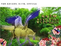 时间见证人心，岁月催你成长