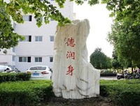 关于红楼梦的优美句子