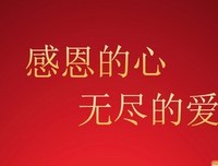 貌似看懂了的人生优美的句子