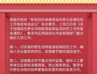 关上窗，我可以拒绝风的句子