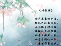 《浮生》的句子