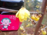 《饥饿的心》好看吗？经典观后感锦集