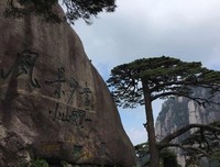 小猴子学艺之人生感悟