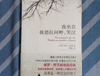《我坐在彼德拉河畔，哭泣》读后感100字