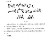 《大师的命门》读后感锦集
