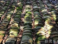 格有说岁些年样也过的斑驳时光的句子