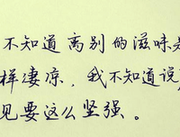 关于萤烛光的优美句子