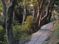 每个优秀的人，都有“敢于失败”的能力