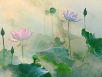 念念清风起，步步莲花生