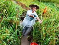 新一周星象前瞻+开运提点 ||天秤金牛天蝎白羊有趋势向
